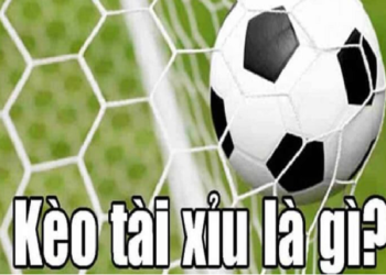 What is Over and Under in Soccer – Experience Reading Odds 100% Winning