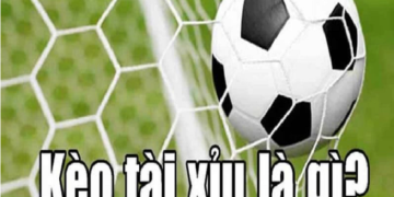 What is Over and Under in Soccer – Experience Reading Odds 100% Winning